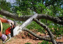 Best Tree Mulching  in Mcconnellstown, PA